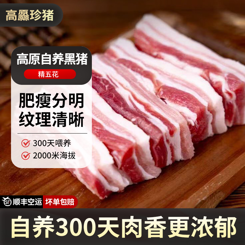 高原黑猪新鲜冷藏五花肉空运到家
