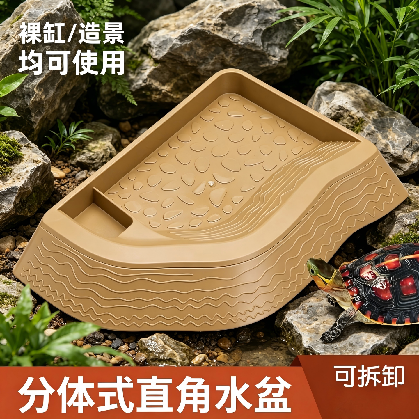 黄缘龟专用分体式半水龟喝水