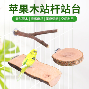 牡丹虎皮玄凤鹦鹉原木站台休息栖息台跳板鹦鹉站台苹果木跳台站架