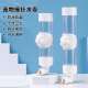 鸟用饮水器水瓶鸟喝水大中小型鹦鹉撞针水壶龙猫芦丁鸡自动喂水器