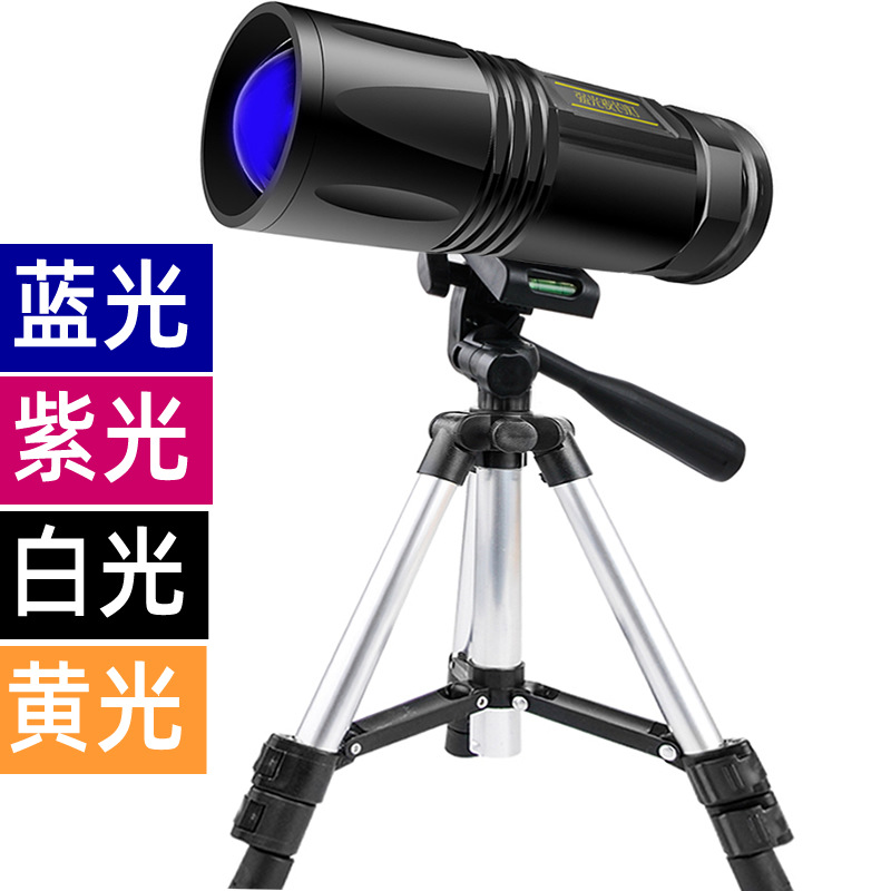 钓鱼灯夜钓灯蓝光灯钓鱼头灯专用充电头灯led户外强光夜钓灯支架