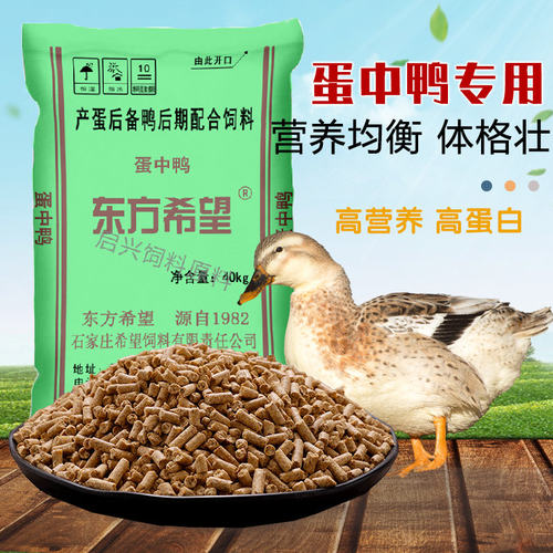 东方希望产蛋鸭子长得壮蛋鸭饲料