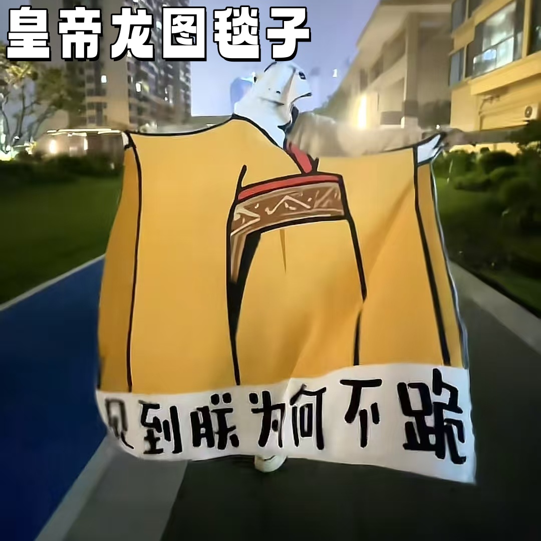 皇帝龙图毯子见到朕为何不跪毯整蛊龙图皇帝午休毯抽象神经毛绒毯