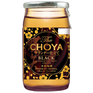 法国白兰地特调基酒日本原瓶进口CHOYA黑金本格梅酒俏雅60ml
