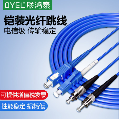 联鸿泰铠装双芯单模光纤跳线