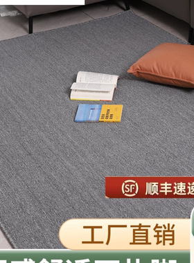 华德直播间专用地毯高级感服装背景布办公客厅垫简约装饰定制