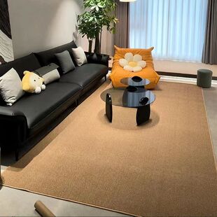 仿剑麻地毯出租屋自由裁剪女孩卧室摄影棚地毯天津地毯客厅2025新