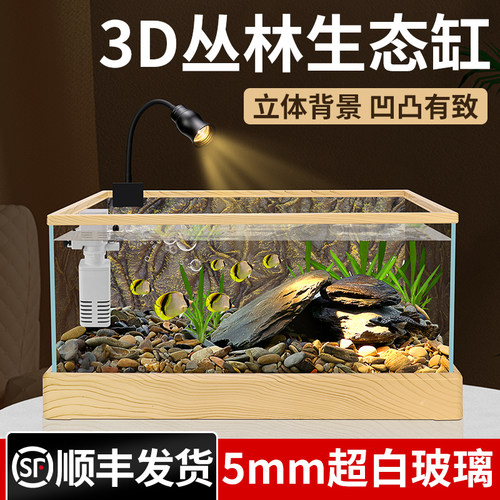 速发态款玻璃鱼缸原生南美溪流缸家用客厅小型热带雨林造景生新乌