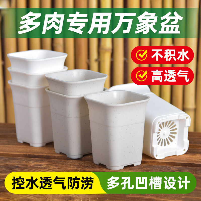 速发象盆方形大口径玉露仙人球块肉花盆小塑料加厚十二多卷根高盆