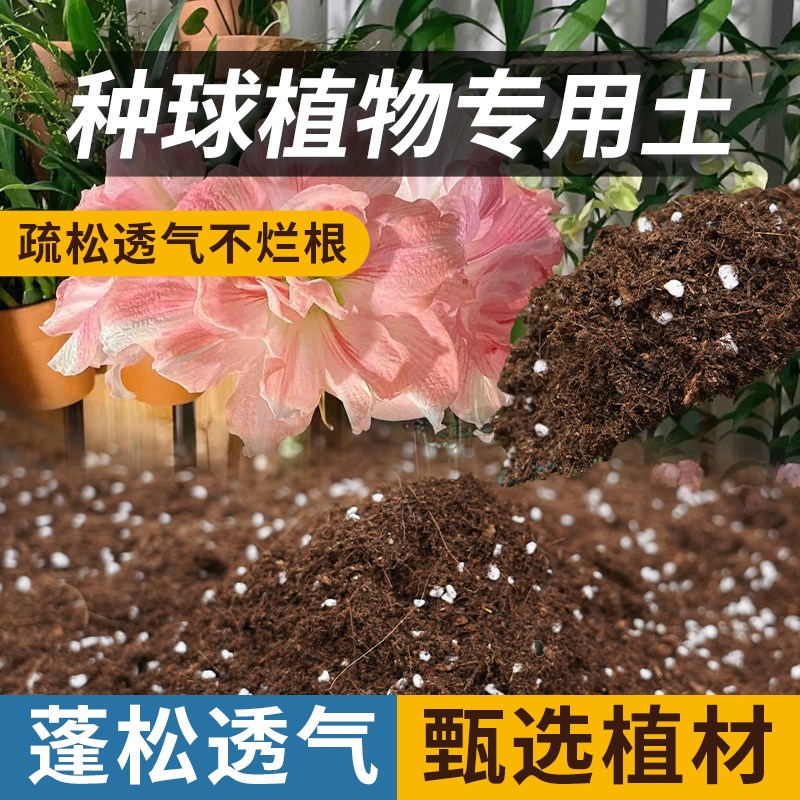 速发郁金香种球专土信养花通用百合风用子朱顶红专用种植营养泥炭