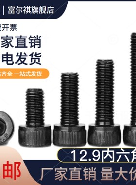 速发216M18M2MM22MM4M2700M6M42 12.级内六角螺丝加长高强度螺栓