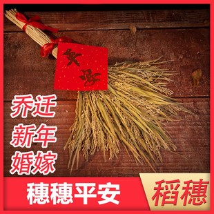 速发大麦摆件麦穗干花客厅装穗金麦穗麦家搬子花束小麦高粱饰五谷