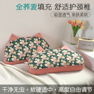 速发全棉荞麦枕头成人家头硬整套乔麦皮枕芯带枕头猫耳朵碎花枕用