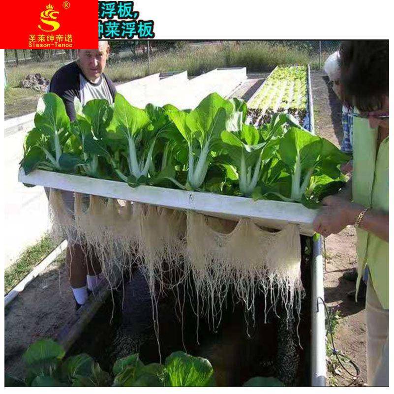速发水培菜器皿【鱼菜共生】土塘栽面种植蔬菜定植板无鱼水培设备