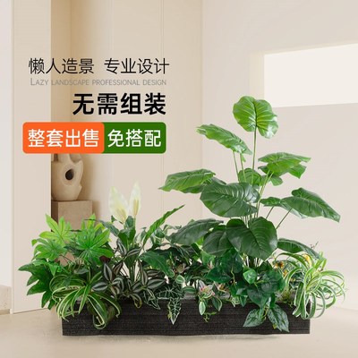 速发绿隔造景组合摆设热带植物植断花槽花箱仿生假内室花景观装饰