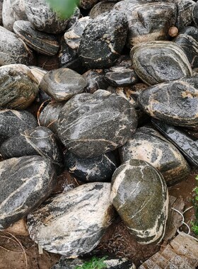 速发镇宅石石观赏石  原石未加工发 货带不 木座