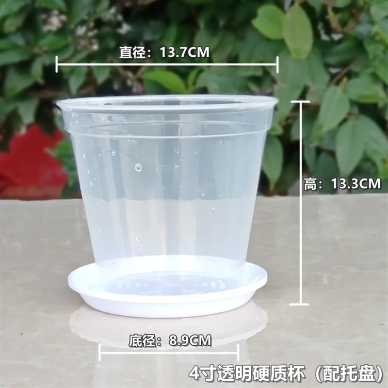 速发.5寸高寸蝴蝶兰花盆控根透气兰花杯石斛盆栽种植4透明育苗兰