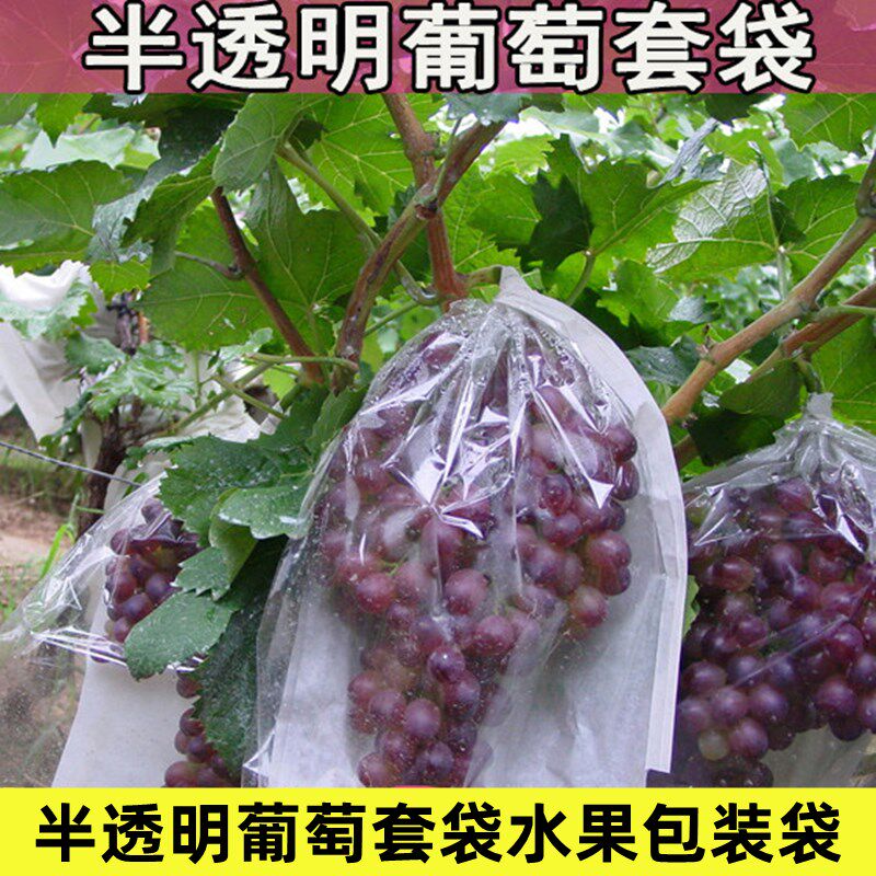 速发半透明莲萄套袋防鸟虫包袋葡雾保护袋水果袋防水防雨透气纸装