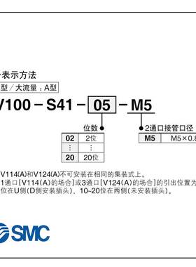 VV100-S41-02-03-04-05-06-07-08-09-10-11-12-13-14-15-16-17-M5