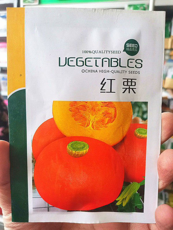 红栗王南瓜种子四季红面瓜板栗味粉糯香甜栗小南瓜窝瓜种籽10克