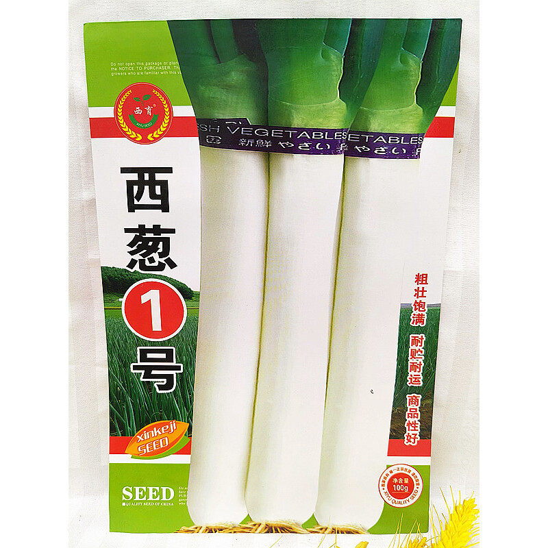 东北蔬菜种子西葱1号牛腿大葱高帮葱秋菜葱越冬葱100克冬储干葱籽