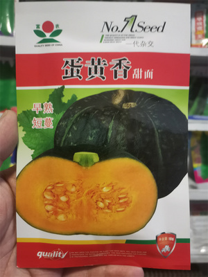 甜面甜栗南瓜种子东北窝瓜籽蛋黄香南瓜板栗倭瓜四季菜种蔬菜10克