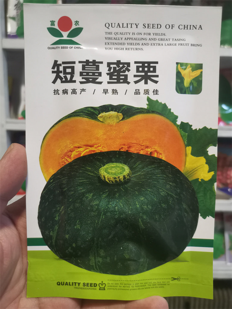 东北蔬菜籽种子籽窝瓜倭瓜甘甜面短蔓蜜栗早熟南瓜种子大面积10克
