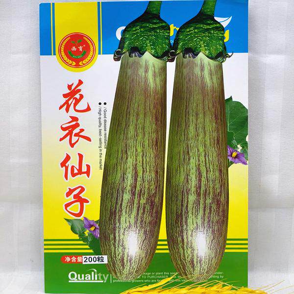 西林种业花衣仙子面包茄子种子长茄绿茄子春秋阳台陆地播种200粒