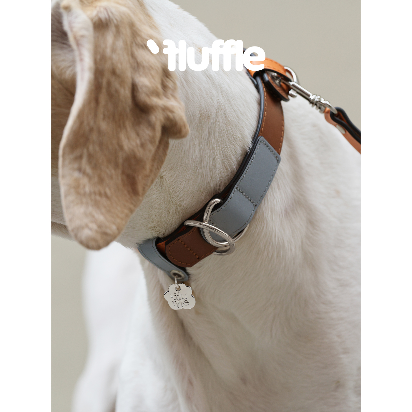 Fluffle巴洛克優雅拼色狗狗項圈