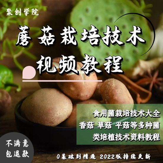 蘑菇栽培技术视频教程草菇金针菇香菇茶树菇双孢菇茶树菇种植全套