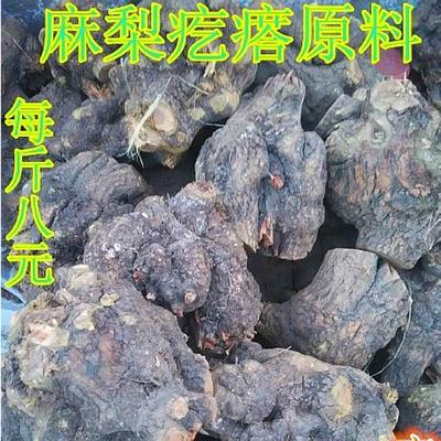 麻利疙瘩干料鼠李根原料麻梨疙瘩木料根瘤树根文玩树瘤原木枯木头