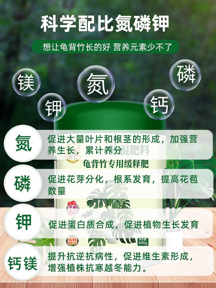 龟背竹肥料专用肥盆栽室内客厅大叶开背植物营养有机肥黄叶变绿叶