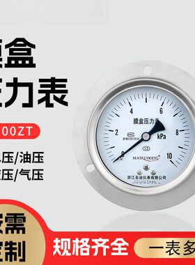 轴向带边膜盒压力表YE100ZT轴向带边真空表隔膜远传氨用压力表