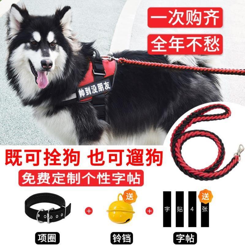 狗狗牵引绳背心式遛狗绳子胸背带宠物金毛拉布拉多大小型犬狗链子