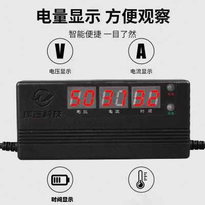安60电动电瓶车数码48脉蓄电池V冲2h7智能伏显示20铅酸12a充电器