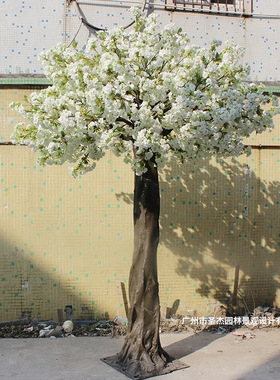 仿真白色樱花树婚庆摄影基地装饰园林造景花树加密假花枝仿真花树