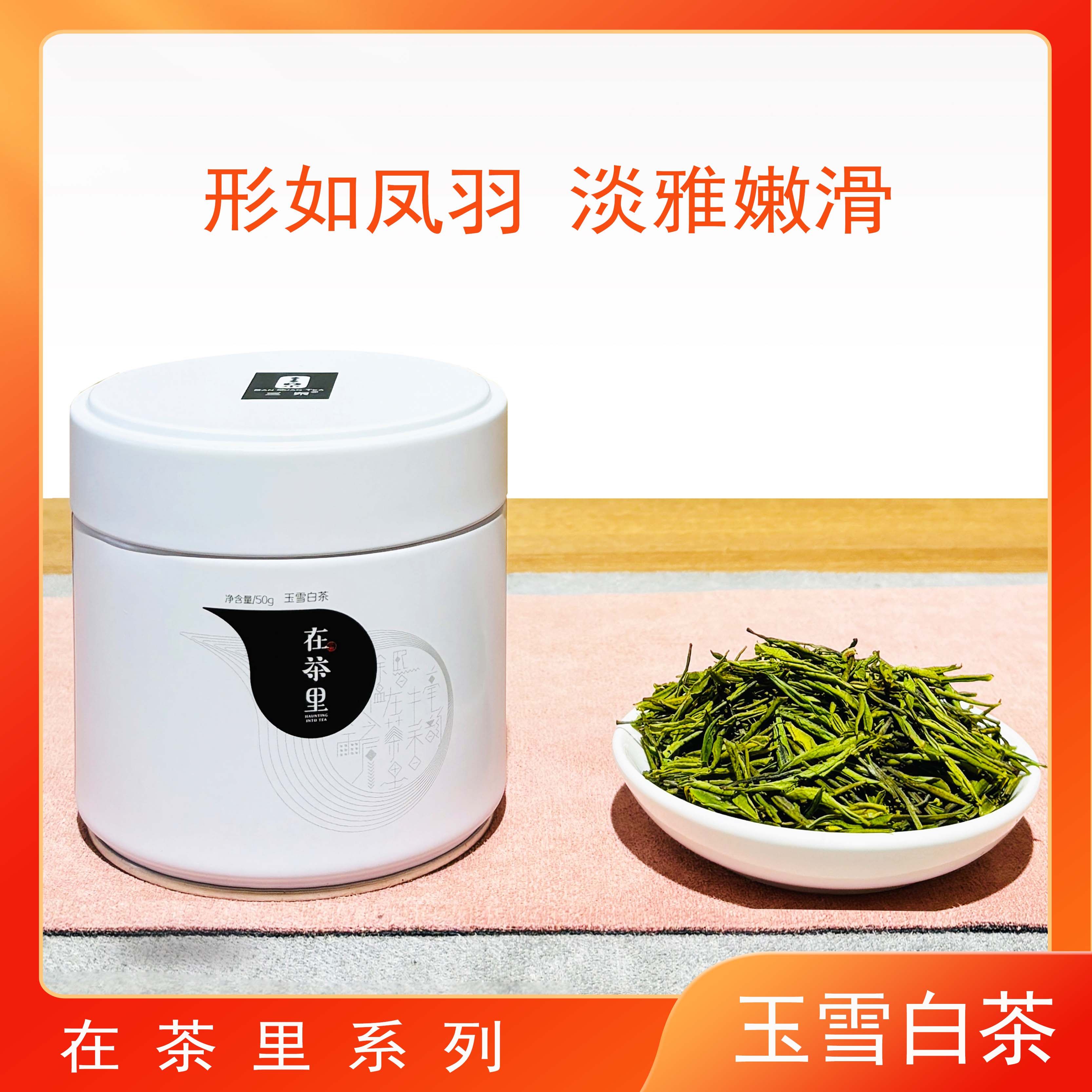 三泉玉雪白茶2026新茶镇江茶叶炒青绿茶散茶罐装50g