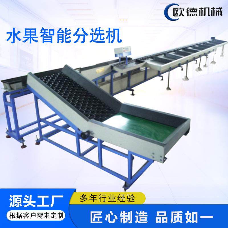 苹果分选机 橘子橙子牛油果重量多级分拣 高效精准度高不锈钢材质