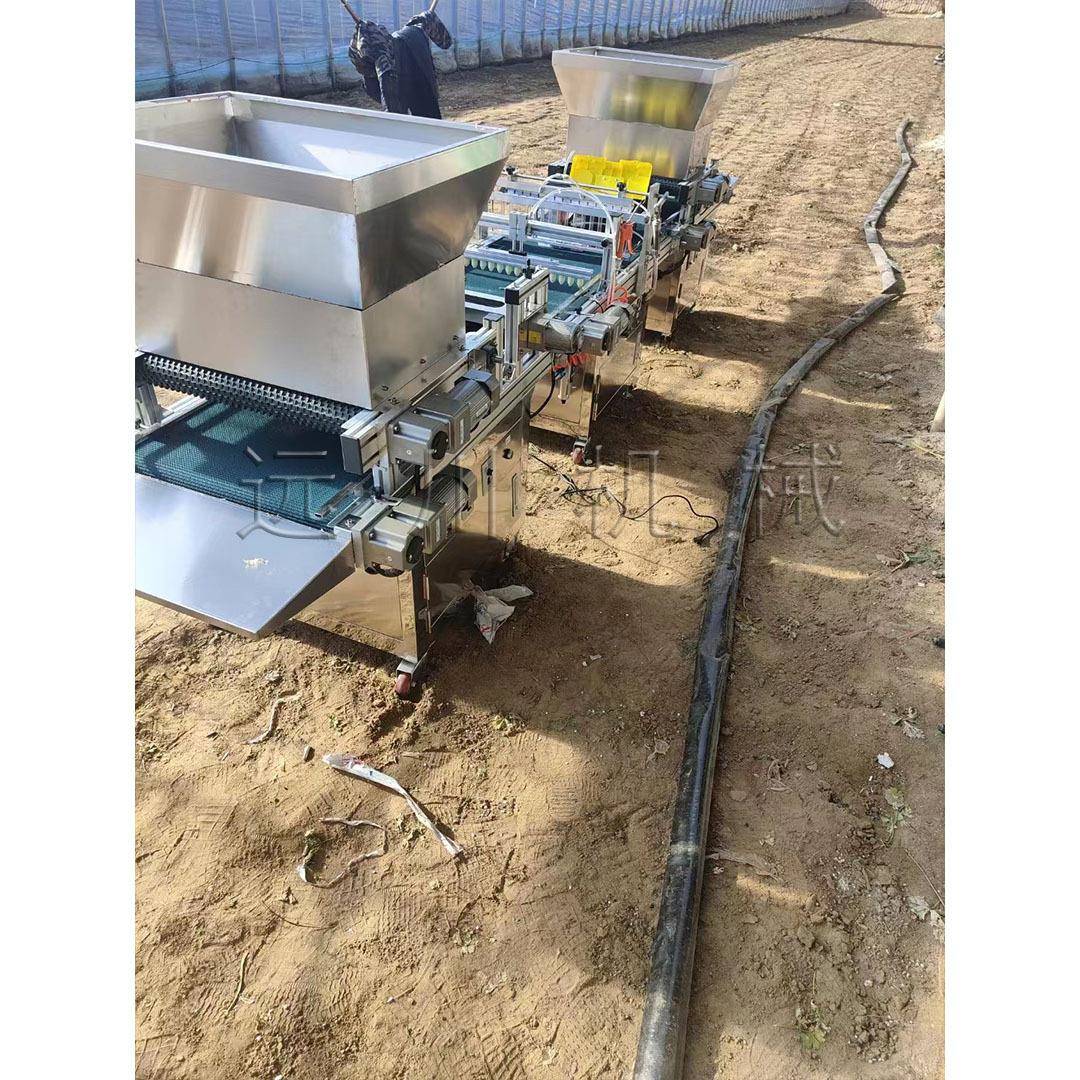 220V自动种子培育设备 全自动针式穴盘播种机 辣椒蔬菜生产育苗机