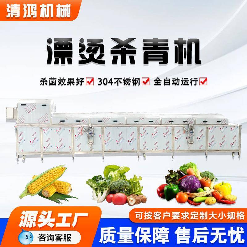 蒸汽式连翘漂烫机 黄花菜杀青护色机 山野菜蒲公英加工全套设备