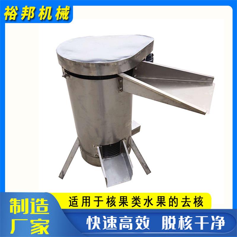 水果核肉分离机 商用芒果杨梅去核粉碎机 不锈钢果浆打浆设备