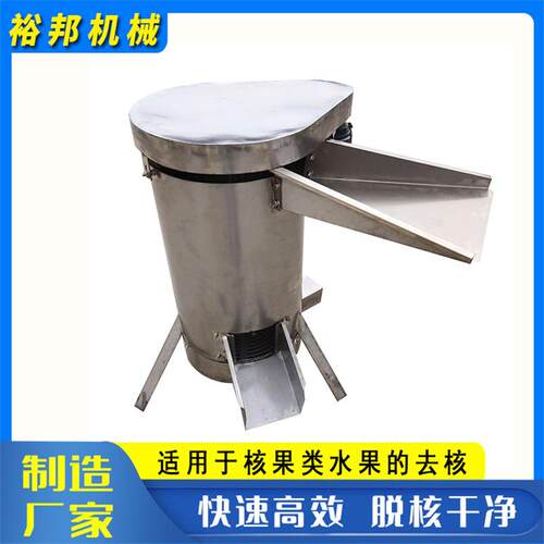 水果核肉分离机 商用芒果杨梅去核粉碎机 不锈钢果浆打浆设备
