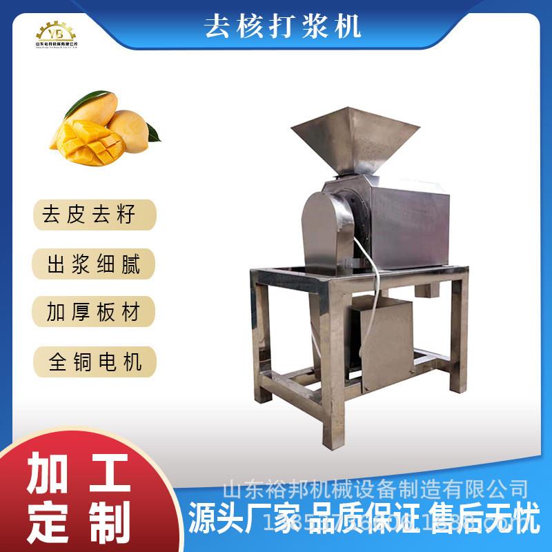 芒果工业打浆机 不锈钢水果去核打泥机樱桃沙棘蓝莓果浆加工设备