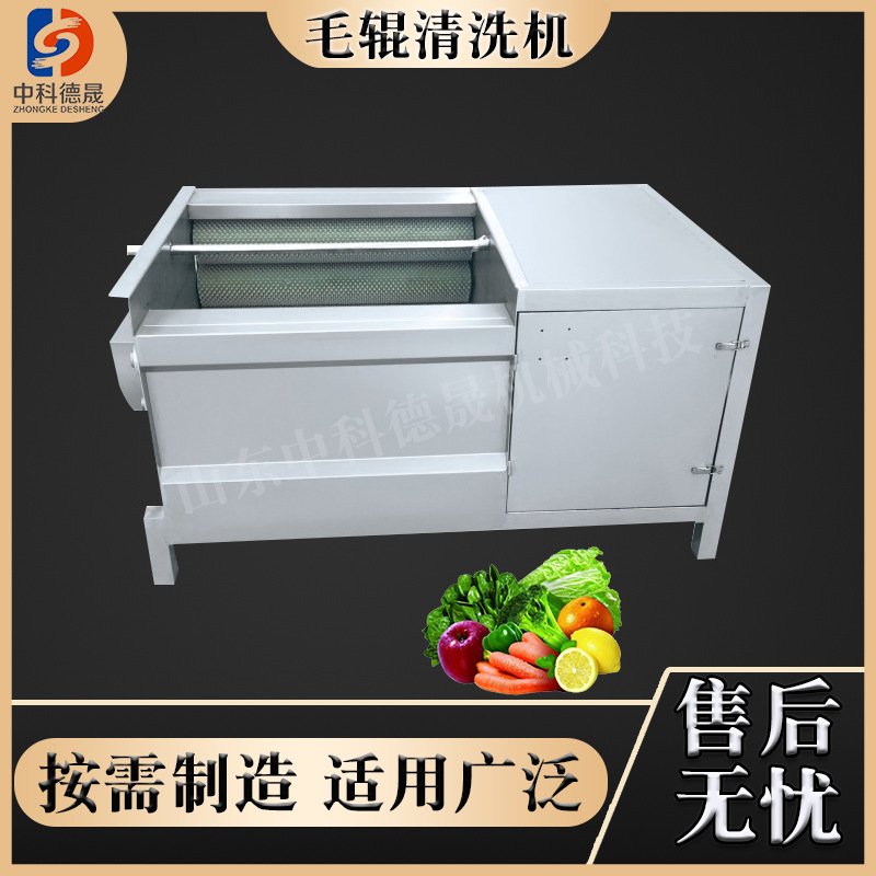 根茎类中药材何首乌板蓝根黄芪白芷软毛清洗处理设备毛辊清洗机