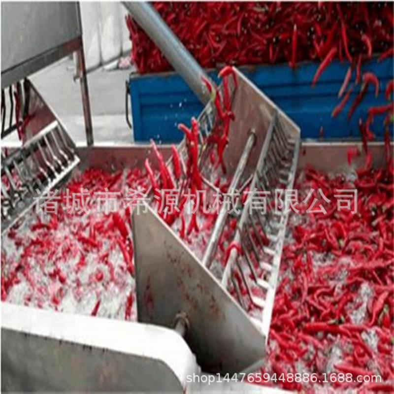 实用辣椒气泡清洗机小米椒带波轮清洗流水线 香菇果蔬清洗设备