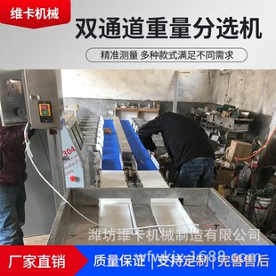 厂家直供白条鸭重量分选机 白条鸡精准分选输送多级重量分级设备