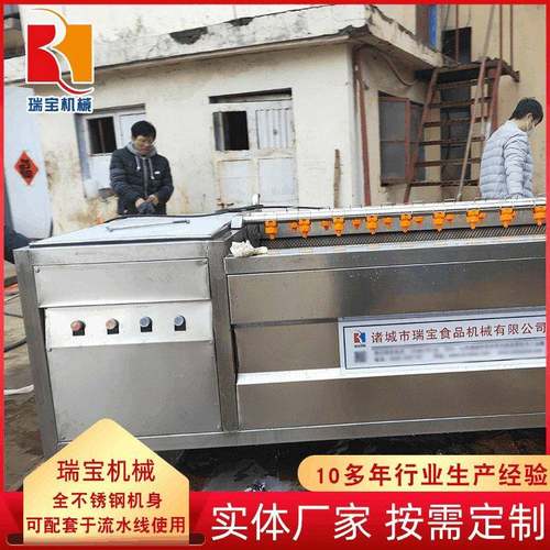 全自动扇贝清洗机 大型多功能鲍鱼清洗机 生姜毛辊清洗去皮机