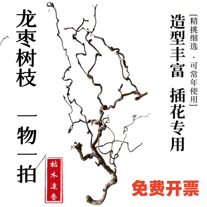 天然龙枣干枝弯曲龙爪插花家居禅意树枝客厅店铺民宿侘寂艺术装饰