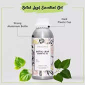 蒸馏 1KG 印度国际直邮Betel Leaf槟榔叶精油