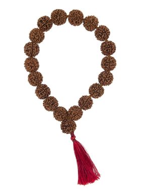 印度国际直邮Ashram Rudraksha 五面子菩提18+1手串Mala 14-16mm